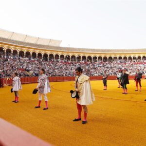 L'Andalousie a accueilli plus de 11 000 célébrations depuis 2007 et 20 535 334 spectateurs y ont assisté.